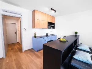 Pronájem bytu 1+kk, Olomouc, Edmunda Husserla, 40 m2