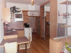 Pronájem bytu 1+kk, Praha - Nusle, Pod lázní, 25 m2