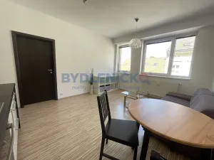 Pronájem bytu 2+kk, České Budějovice, B. Smetany, 40 m2