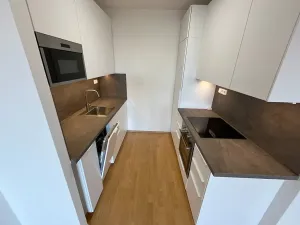 Pronájem bytu 2+kk, Brno, Bělohorská, 62 m2