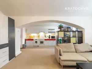 Prodej bytu 1+kk, Praha - Karlín, Březinova, 50 m2