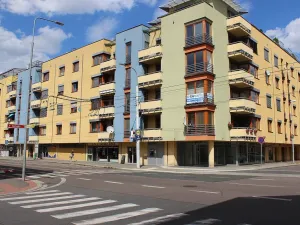 Pronájem bytu 2+kk, Pardubice - Zelené Předměstí, Jana Palacha, 65 m2