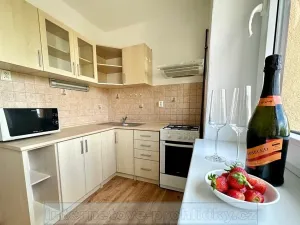 Pronájem bytu 1+1, Praha - Žižkov, U kněžské louky, 70 m2