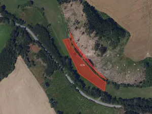 Prodej louky, Přibyslav, 4221 m2