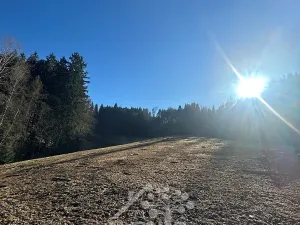 Prodej louky, Bozkov, 15029 m2