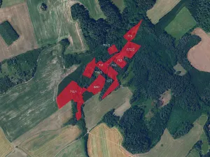 Prodej lesa, Proseč, 39942 m2