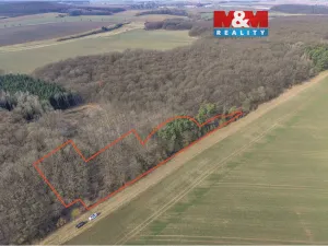 Prodej lesa, Slatiny, 6169 m2