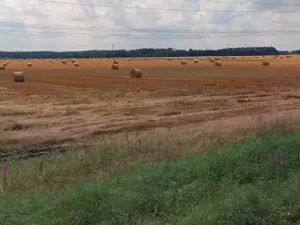 Prodej pole, Dříteň, 131617 m2