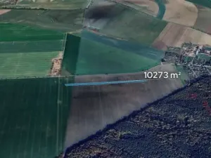 Prodej podílu pole, Nový Ples, 2568 m2