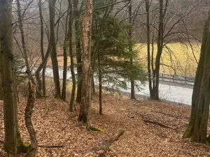 Prodej lesa, Huslenky, 16650 m2