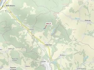 Dražba lesa, Zubrnice, 8765 m2