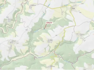 Dražba lesa, Čestín, 2055 m2