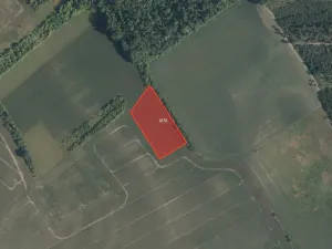 Prodej pole, Dřísy, 8020 m2