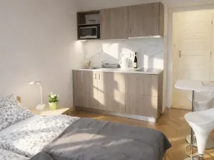 Pronájem bytu 1+kk, Praha - Žižkov, Fibichova, 25 m2