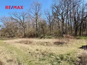 Prodej pozemku pro bydlení, Všejany, 802 m2