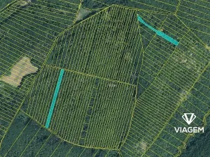 Prodej podílu lesa, Brno, 996 m2