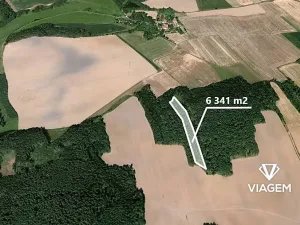 Prodej podílu lesa, Koloveč, 2021 m2