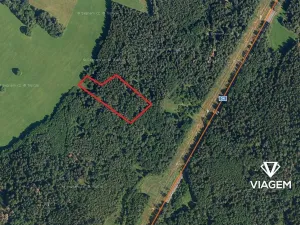 Prodej podílu lesa, Vítanov, 2834 m2