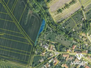 Prodej zahrady, Vrbka, 977 m2