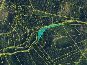 Prodej podílu lesa, Vysoké nad Jizerou, 742 m2