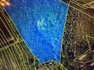 Prodej lesa, Březolupy, 29958 m2