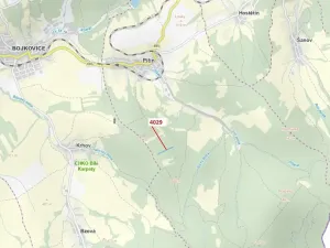 Dražba lesa, Pitín, 5996 m2