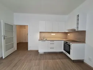 Pronájem bytu 3+kk, Brno - Staré Brno, Pekařská, 60 m2