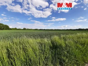 Prodej pole, Olomouc - Slavonín, 12778 m2