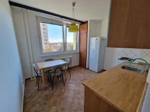 Pronájem bytu 1+1, Brno, Božetěchova, 46 m2