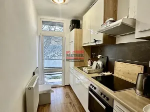 Prodej bytu 2+1, Planá nad Lužnicí, Příčná, 46 m2