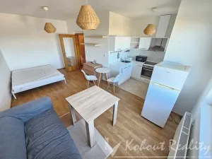Pronájem bytu 1+kk, Praha - Hloubětín, Nademlejnská, 40 m2