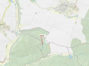 Dražba lesa, Chotěbudice, 1978 m2