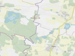 Dražba lesa, Hradiště, 1083 m2