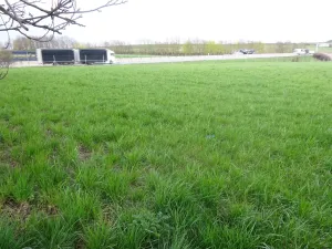 Prodej komerčního pozemku, Stránecká Zhoř - Kochánov, 2295 m2