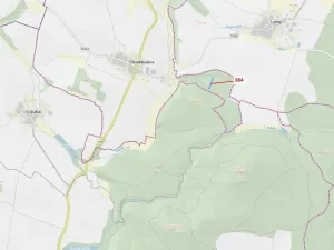 Dražba lesa, Chotěbudice, 4302 m2