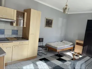 Pronájem pokoje, Praha - Vinohrady, Sázavská, 23 m2