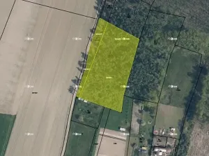 Prodej lesa, Bechlín, 6309 m2