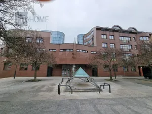 Pronájem obchodního prostoru, Plzeň, 1000 m2