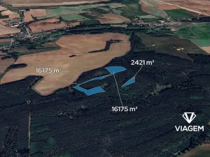 Prodej podílu lesa, Libovice, 2324 m2