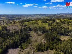 Prodej lesa, Železný Brod, 11203 m2
