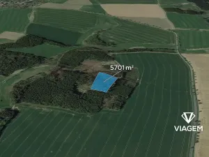 Prodej podílu lesa, Stříbrné Hory, 1425 m2