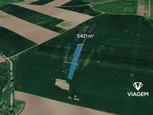 Prodej podílu pole, Ivančice, 338 m2