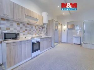 Pronájem bytu 1+kk, Plzeň - Východní Předměstí, Koterovská, 22 m2