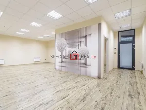 Prodej skladu, Ostrava, U Staré elektrárny, 121 m2
