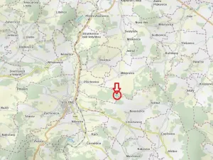 Prodej podílu lesa, Milejovice, 1918 m2
