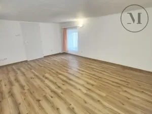Pronájem bytu 1+kk, České Budějovice, Jírovcova, 30 m2