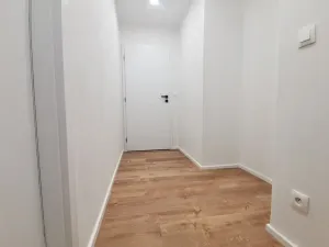 Prodej bytu 2+kk, Praha - Žižkov, Rečkova, 58 m2