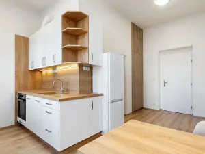 Pronájem bytu 2+kk, Praha - Nusle, Boleslavova, 37 m2