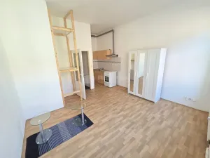 Pronájem bytu 1+kk, Praha - Žižkov, Vlkova, 28 m2
