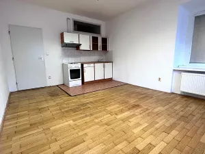 Pronájem bytu 2+kk, Brno, Bayerova, 52 m2